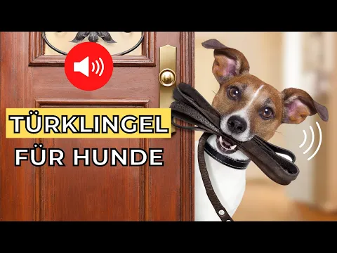 Download MP3 10 Türklingel für Hunde 🔊🐶 geräusche fur hund