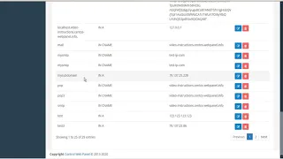 cwp user panel dns records tutorial