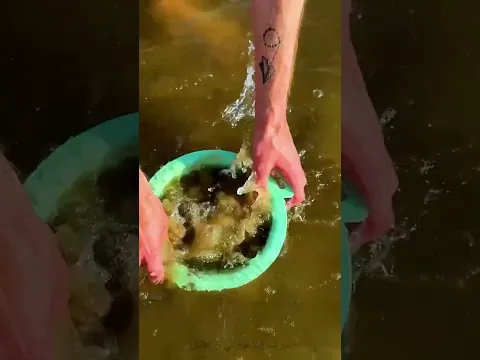 استعدوا للشاطئ بهذه الحيل السهلة!