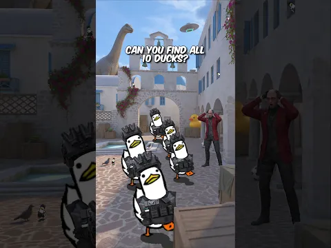 Find all the ducks and send this to your friends! #standoff #ducks #meme