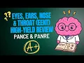 EENT High-Yield Review for PANCE PANRE Must-Know Eye Ear Nose Throat Topics