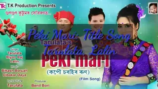 p k mari tarulata kutum lalin taye new mising song 2019