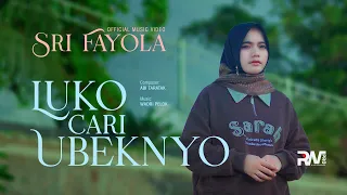 sri fayola luko cari ubeknyo official music video 