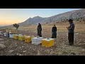 Download Lagu Single Mom's Sweet Dream: Can She Fund 10 Beehives and Start a Beekeeping Business?