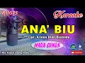 Download Lagu Ana Biu_Bugis Karaoke Cover_Lirik_Nada Cewek_By Arman Dian Ruzanda