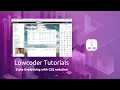 Lowcoder Tutorial - CSS applied Settings