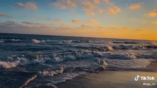 اغنية مسلم هتنسوني دندنها