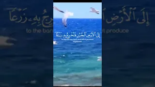 ايات قرانيه اولم يرو انا نسوق الماء 