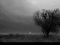 wish you were here-Sparklehorse cover