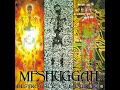 Future Breed Machine - Meshuggah