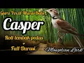 Download Lagu Rahasia Guru Vocal Murai Batu Casper ngerol tembak dengan Speed Rapat. ( Mongolian Lark )