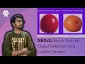 DINOv2 How to Train for Object Detection on a Custom Dataset