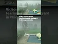 shows storm tearing through backyard in Chicago suburbs