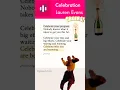 Download Lagu Celebration - Lauren Evans