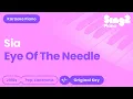 Download Lagu Sia - Eye of the Needle (Piano Karaoke)