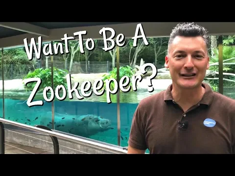 Download MP3 How To Become A Zookeeper - Part 1