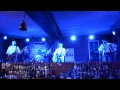 Цвіт Кульбаби -"Козак перед боєм"