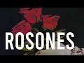 ROSONES- Tito Double P(Letra/Lyrics)2026