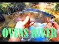 Download Lagu Trout fishing Spinning for trout in the Ovens River