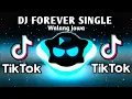 Download Lagu DJ VIRAL FOREVER SINGLE X WALANG JOWA_SHAIRA (FULLBASS ANALOG) DjChoijayRemix 2023
