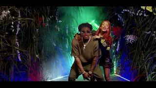 rayvanny ft vanessa mdee twerk official music
