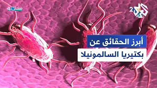 كيف تخدع السالمونيلا الجسم وتتغلب على البكتيريا النافعة   صحتك مع دانيا أرشيد دندنها