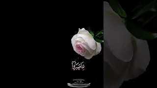 صباح الخير اجمل حالات واتس اب مقاطع قصيره قران كريم سورة المؤمنون عبد الباسط عبد الصمد بدون حقوق 