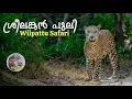 Download Lagu ശ്രീലങ്കൻ കാട് | Forest safari in Sri Lanka | Wilpattu National park 4K