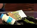Students taste test new meals to put on lunch menu in Loudoun County food show NBC4 Washington