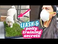 BEST POTTY PAD ALTERNATIVE Plus dog anxiety leash barking tips Fresh Patch Review