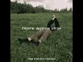 Déjame Dejarte Atrás//@paulaprietomusica |Letra|