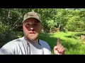 Hey Hunters Deer Do Not Need Food Plots