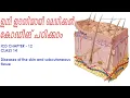 ICD - 10-CM chapter 12 diseases of the skin and subcutaneous tissue