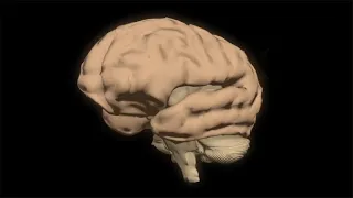 مرض ألزهايمر دندنها