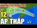 Download Lagu Dự báo thời tiết hôm nay và ngày mai 12/10/2025 | Dự báo thời tiết trong 3 ngày tới