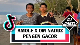 dj amole x om naduz pengen gacor abx gang x dj dabel funky kalabahi 