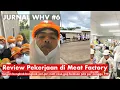 pekerjaan Pertama Sebagai Working Holiday Visa dari Indonesia | Meat Factory #jurnalwhv