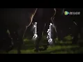Download Lagu Цахар адуу