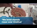 Lagu Doorbraak in behandeling tinnitus: elektrode in hersenen tegen ernstige klachten | L1 Nieuws