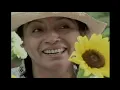 atado a tu amor-Chayanne ( girasoles para lucia)