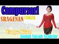 Download Lagu TANPA IKLAN!! FULL ALBUM CAMPURSARI COKEK SRAGENAN PALING ENAK BUAT SANTAI KANCA NGOPI