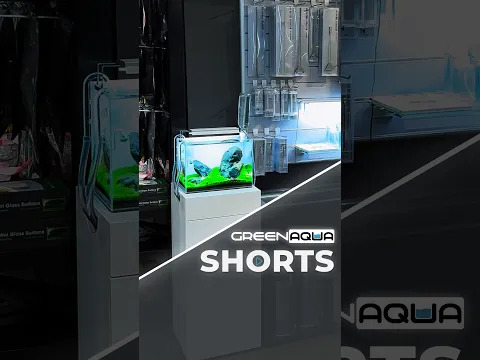 What new aquarium set?🤨