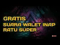 Gratis Suara Walet Inap Ratu Super (SUARA WALET INAP)