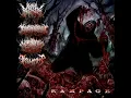 Download Lagu Agonal Breathing - Through Rotted Human Debris