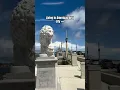 Download Lagu Love this place!🌴 #shorts #staugustine