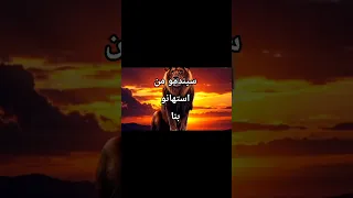 من انت لتستهين بي انا كالجبل لا يهزوني رياح ولا عاصفة  الكرامة  عزة النفس دندنها