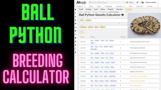 Ball Python Breeding Calculator