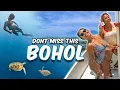 Download Lagu Don't Miss THIS in The Philippines 🇵🇭 (Bohol \u0026 Panglao)