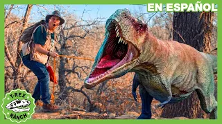 Parque de T-Rex | 💥 T-REX Gigante Persigue Ranger 💥 | Videos de dinosaurios y juguetes para niños