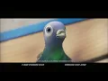 Progressive Insurance Pigeons - Donuts 2024